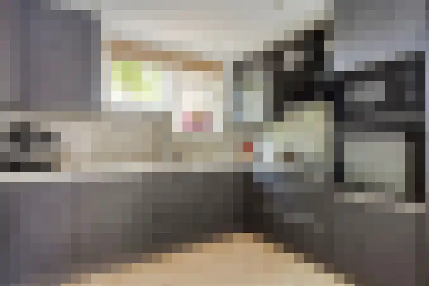 Weidedreef 93 Zoetermeer thumbnail 9