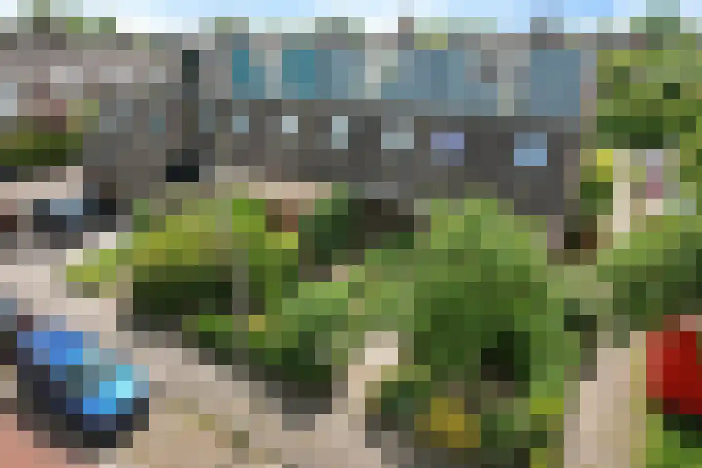 Weideflora 214 Leeuwarden thumbnail 43