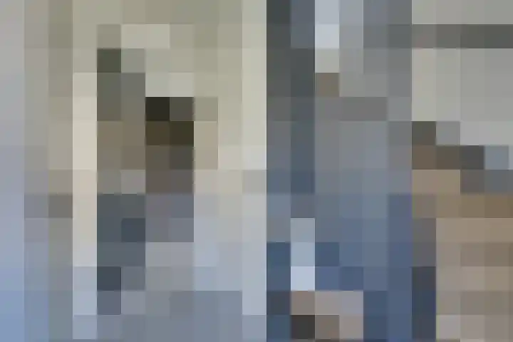 Weidegangweg 32 Middenbeemster thumbnail 11