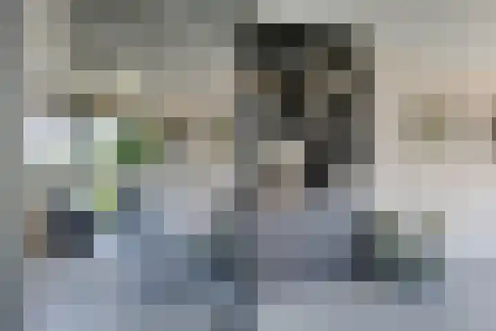 Weidegangweg 32 Middenbeemster thumbnail 12