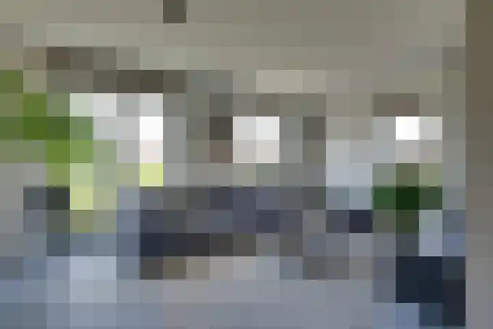Weidegangweg 32 Middenbeemster thumbnail 14