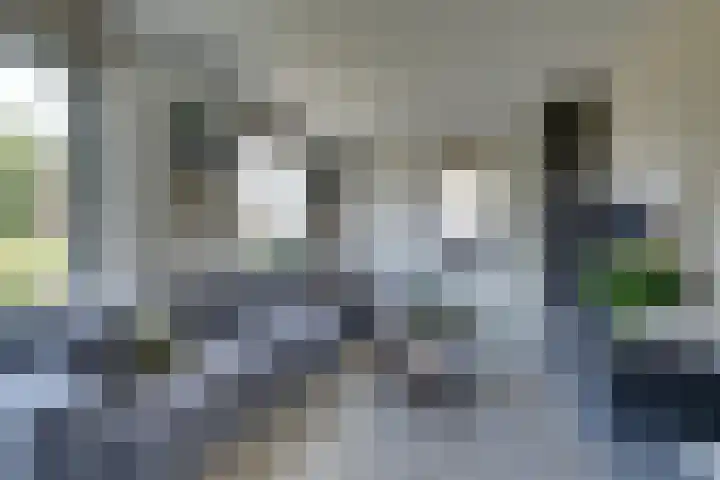Weidegangweg 32 Middenbeemster thumbnail 15