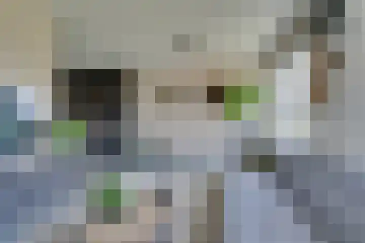 Weidegangweg 32 Middenbeemster thumbnail 18