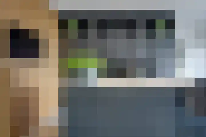 Weidegangweg 32 Middenbeemster thumbnail 24