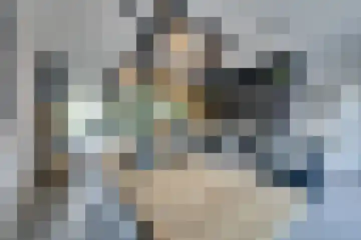 Weidegangweg 32 Middenbeemster thumbnail 32