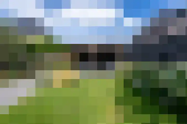 Weidegangweg 32 Middenbeemster thumbnail 39