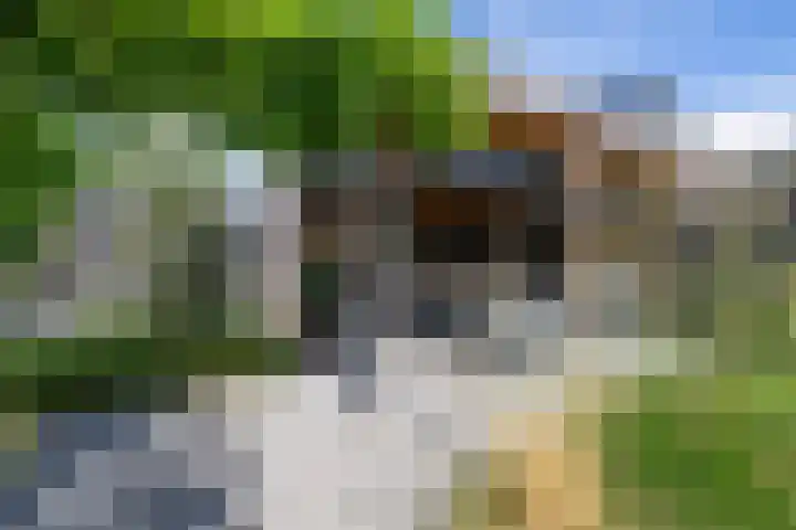 Weidegangweg 32 Middenbeemster thumbnail 4
