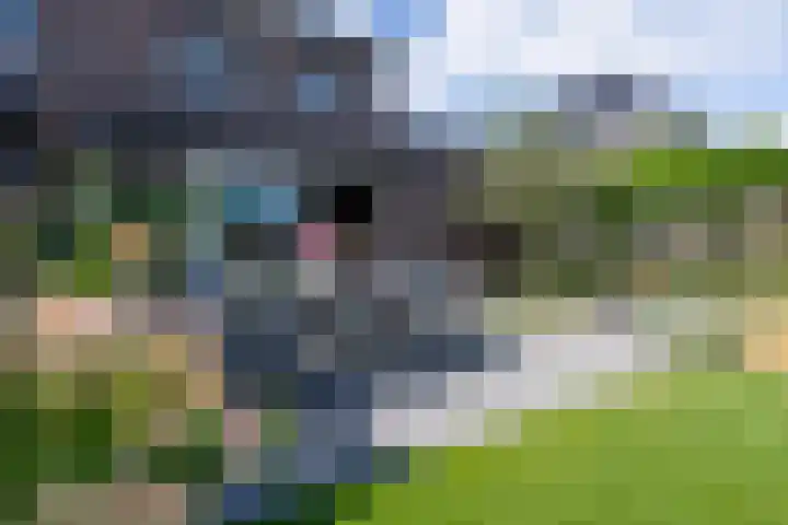Weidegangweg 32 Middenbeemster thumbnail 40