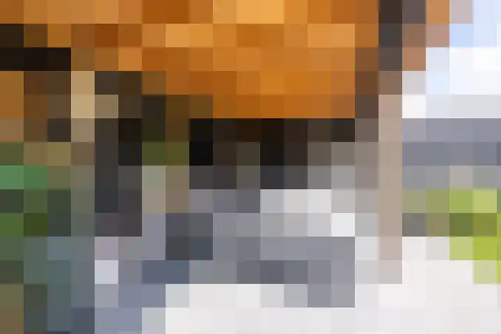 Weidegangweg 32 Middenbeemster thumbnail 44
