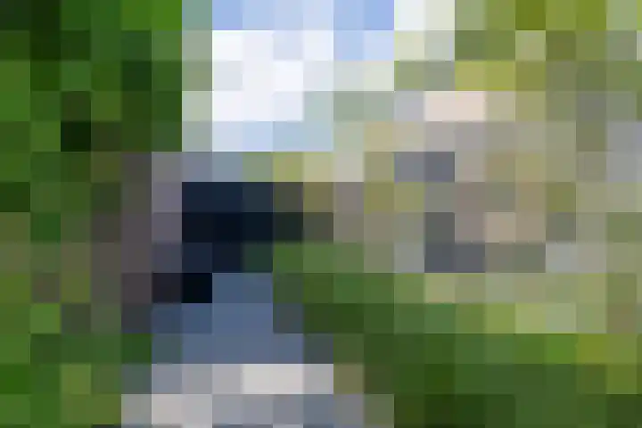 Weidegangweg 32 Middenbeemster thumbnail 46