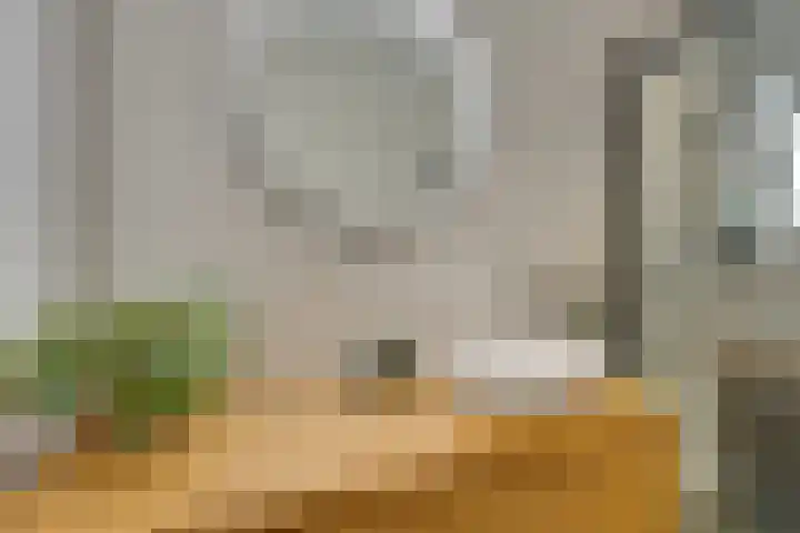 Weidegangweg 32 Middenbeemster thumbnail 61