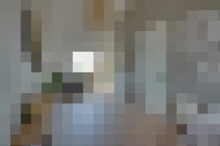 Weidegangweg 32 Middenbeemster thumbnail 64