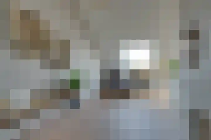 Weidegangweg 32 Middenbeemster thumbnail 66