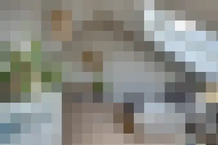 Weidegangweg 32 Middenbeemster thumbnail 67