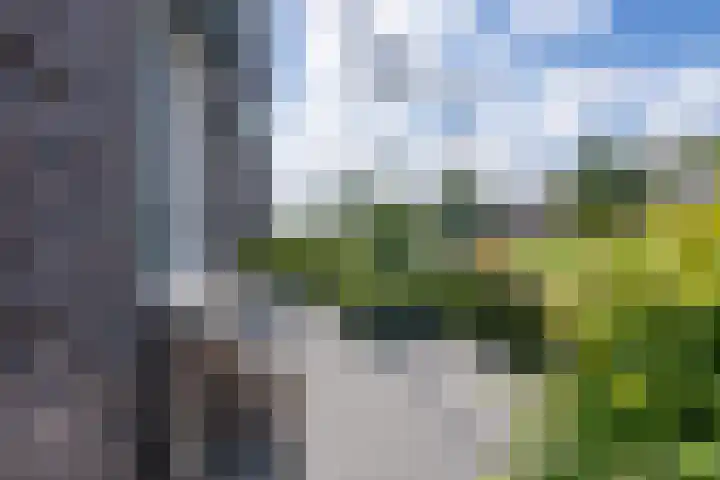 Weidegangweg 32 Middenbeemster thumbnail 7