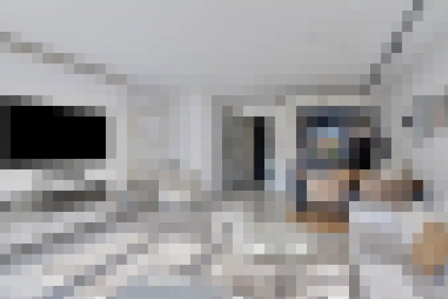 Weidegangweg 4 Middenbeemster thumbnail 10