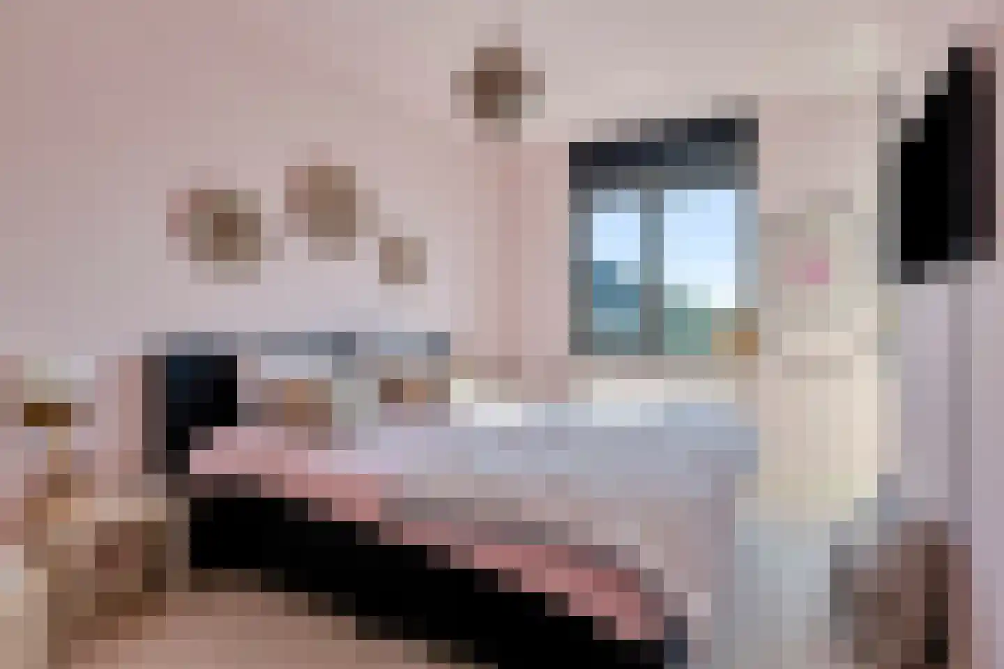 Weidegangweg 4 Middenbeemster thumbnail 18