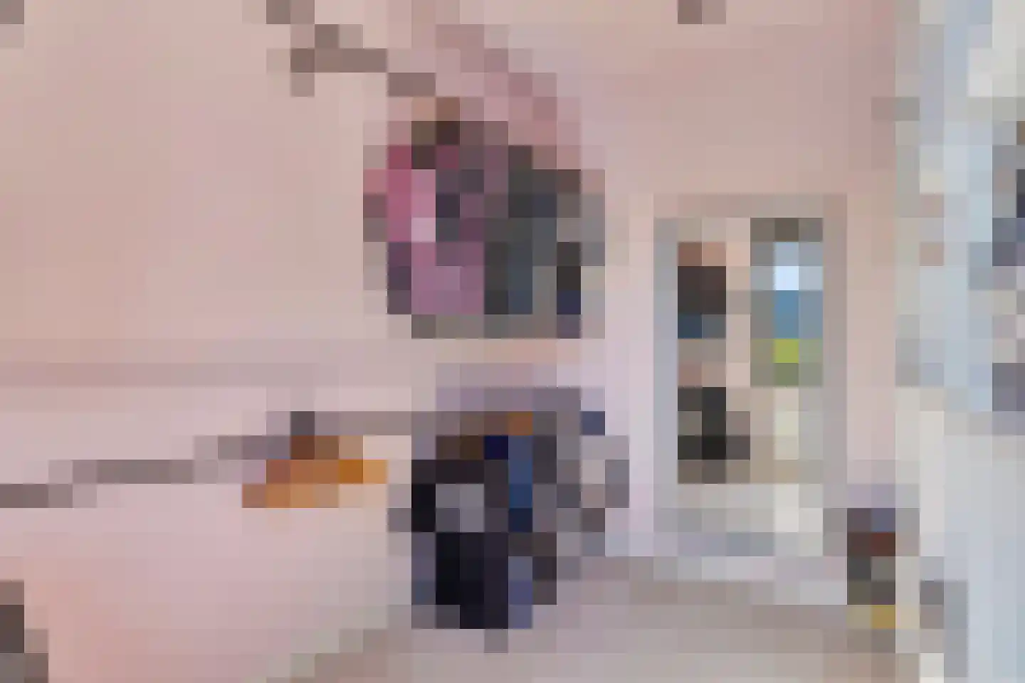 Weidegangweg 4 Middenbeemster thumbnail 21