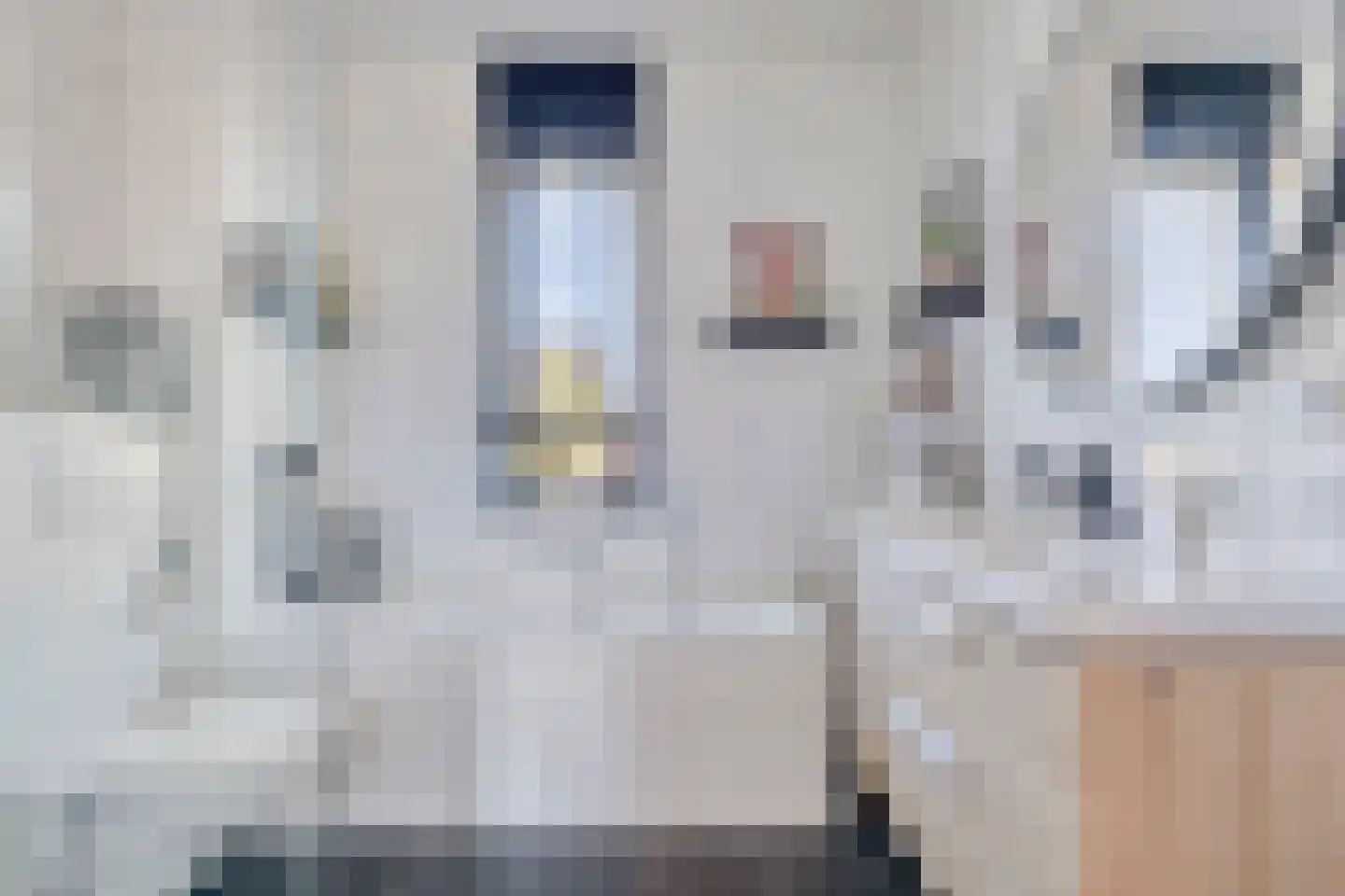 Weidegangweg 4 Middenbeemster thumbnail 22