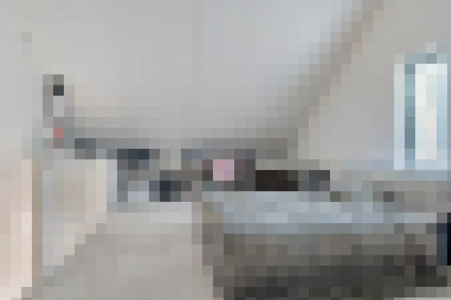 Weidegangweg 4 Middenbeemster thumbnail 28