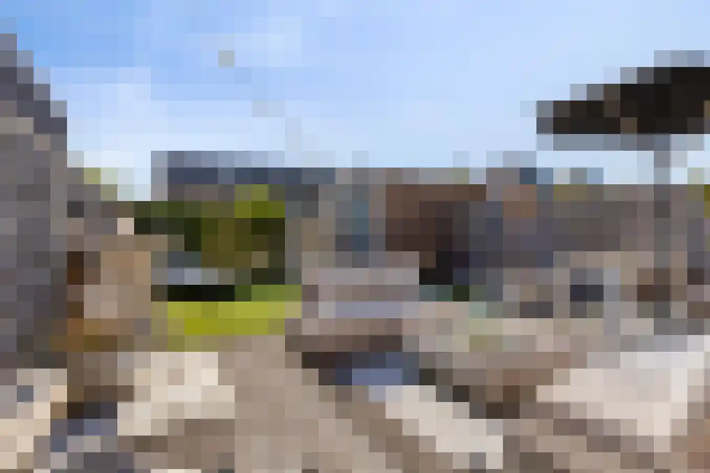 Weidegangweg 4 Middenbeemster thumbnail 30