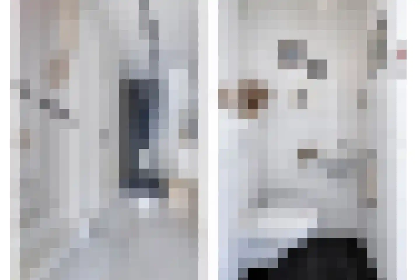 Weidegangweg 4 Middenbeemster thumbnail 8