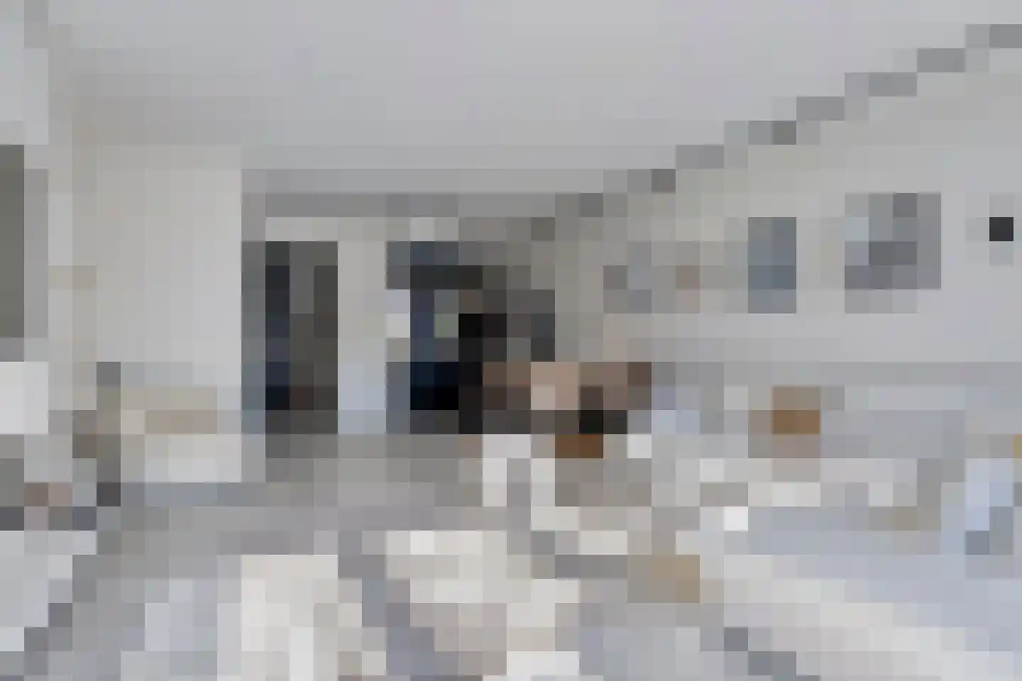 Weidegangweg 4 Middenbeemster thumbnail 9