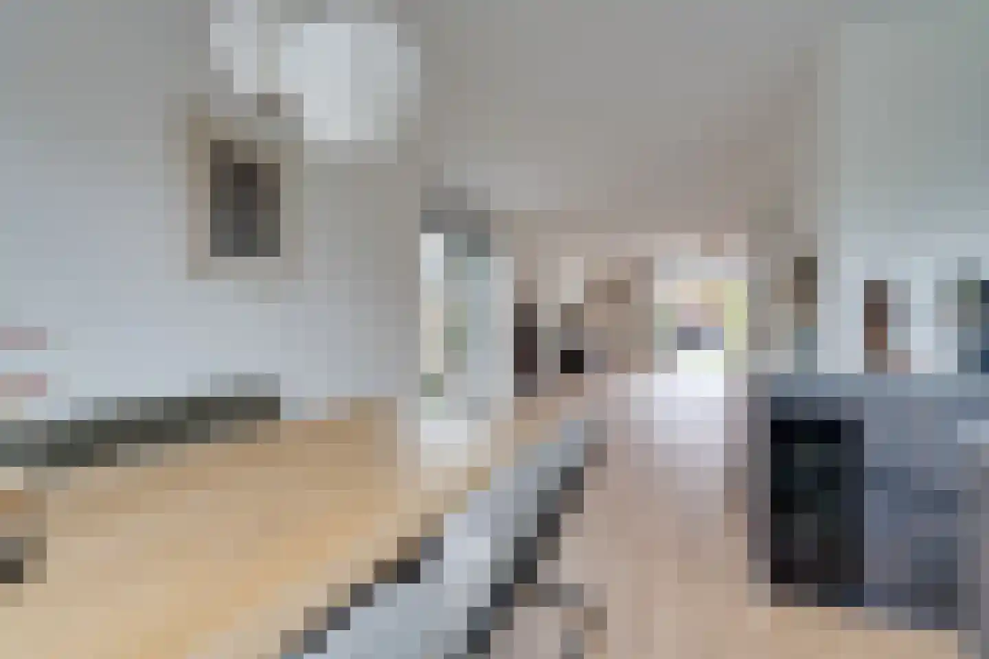 Weidegangweg 5 Middenbeemster thumbnail 23
