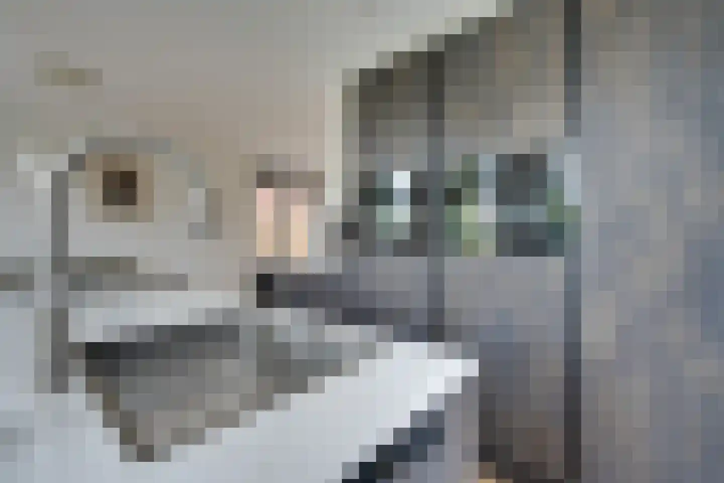 Weidegangweg 5 Middenbeemster thumbnail 24