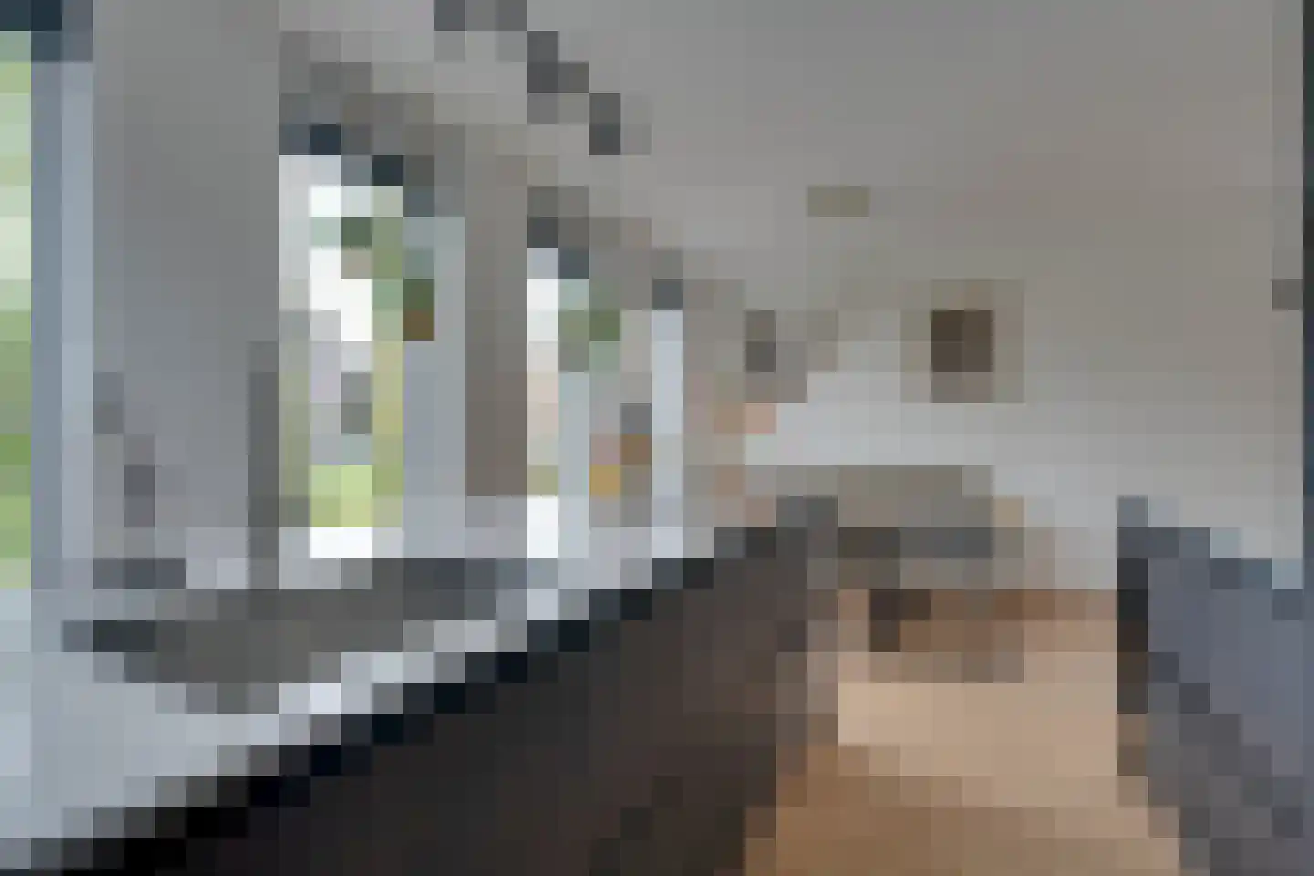 Weidegangweg 5 Middenbeemster thumbnail 25