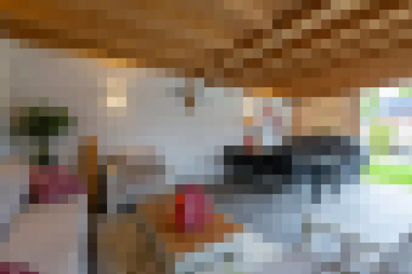 Weidegangweg 5 Middenbeemster thumbnail 35