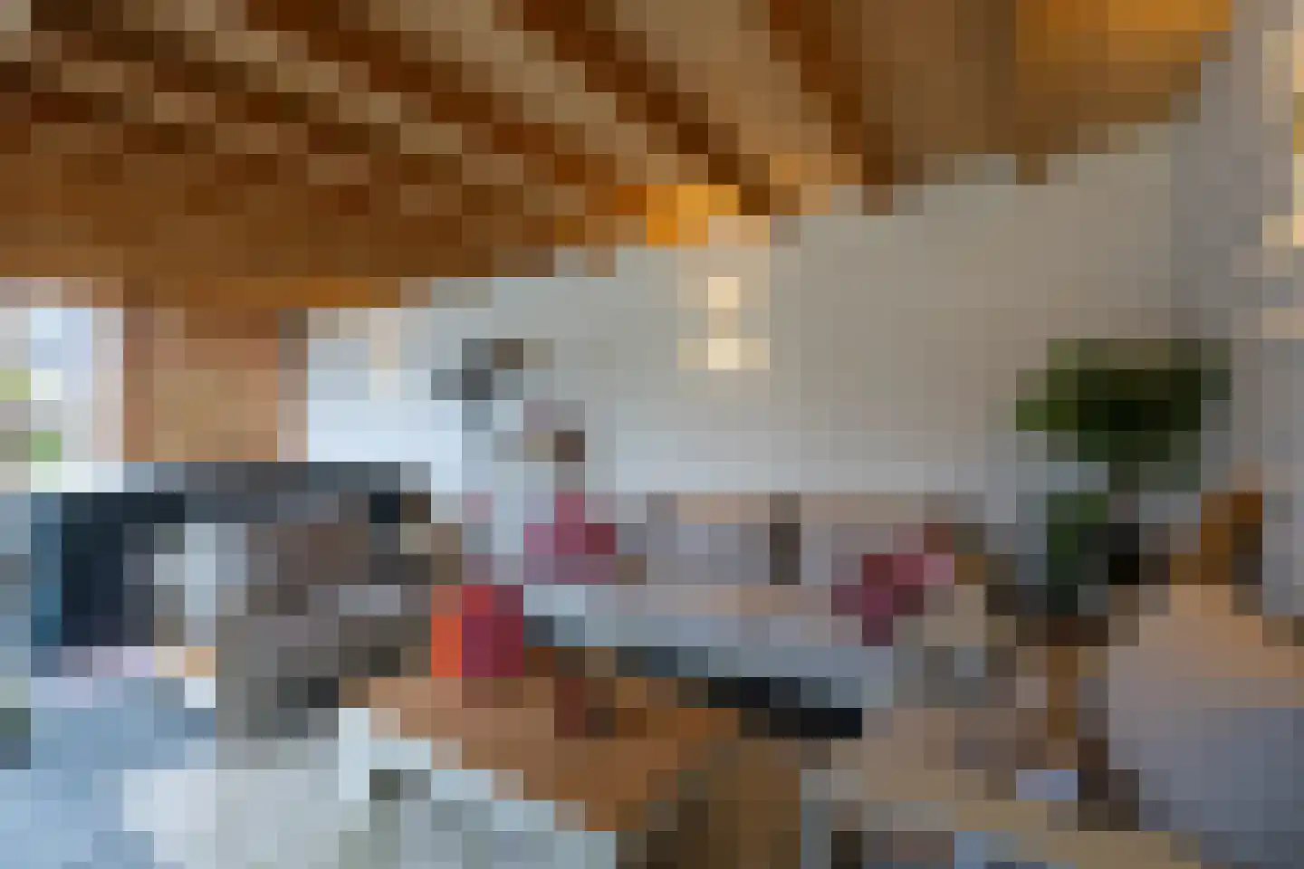 Weidegangweg 5 Middenbeemster thumbnail 38