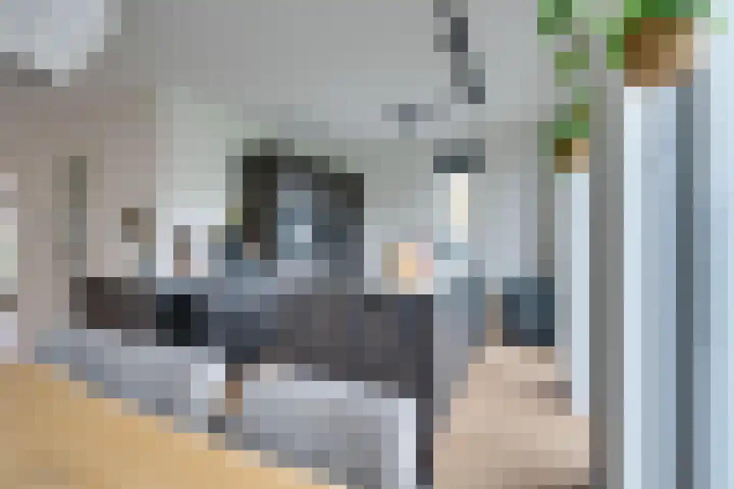 Weidegangweg 5 Middenbeemster thumbnail 4