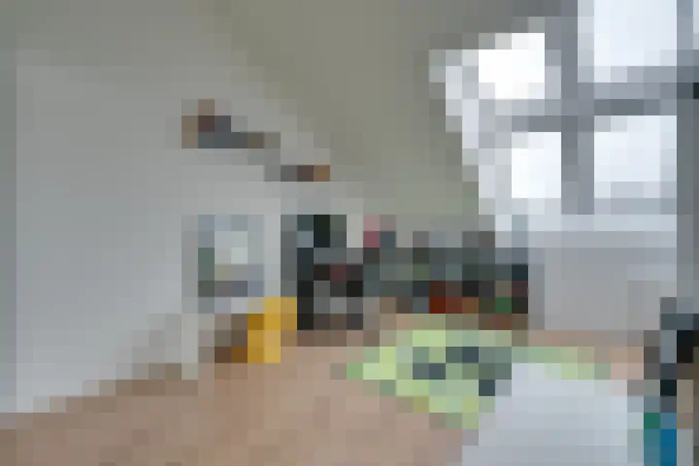 Weidegangweg 5 Middenbeemster thumbnail 60
