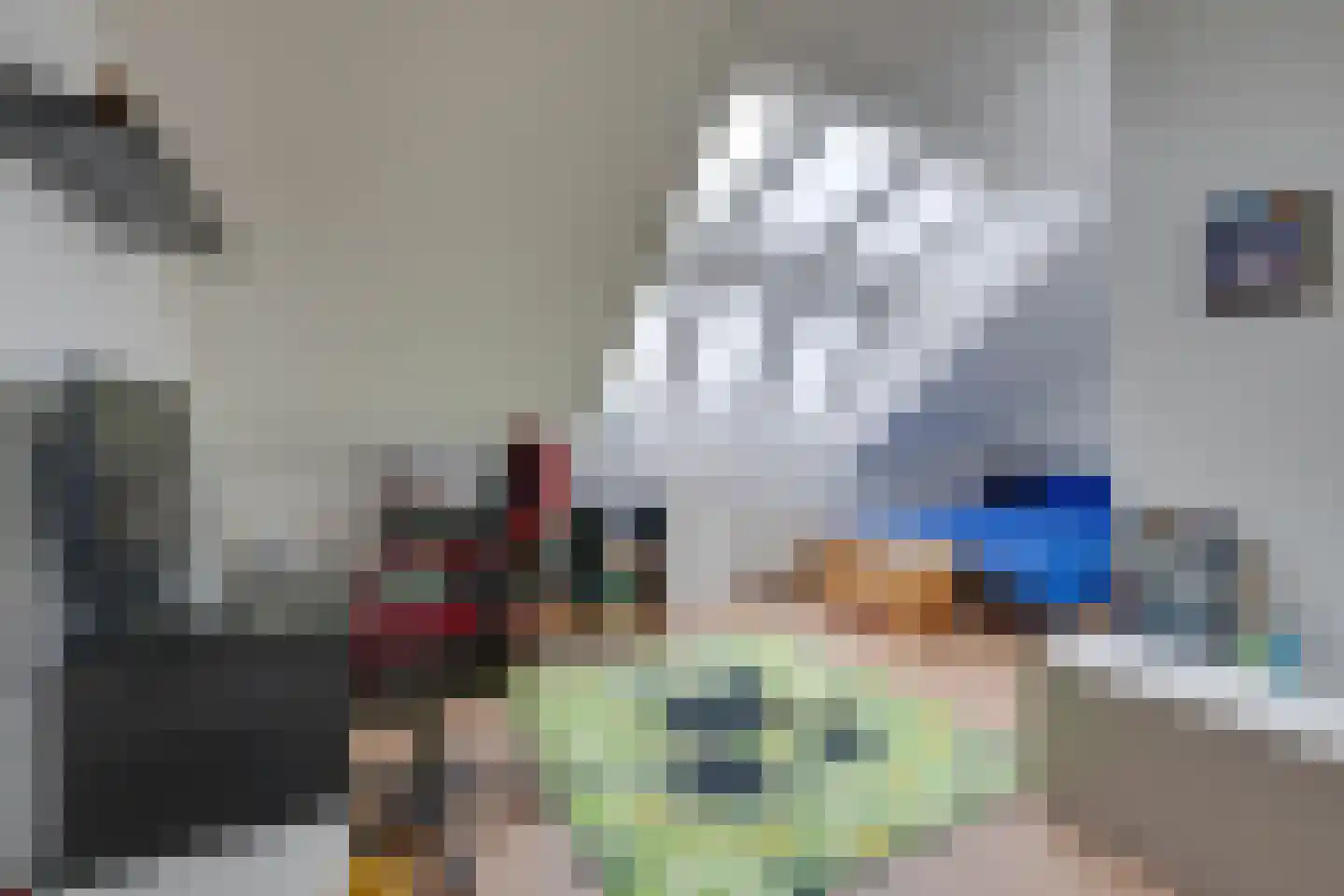 Weidegangweg 5 Middenbeemster thumbnail 61