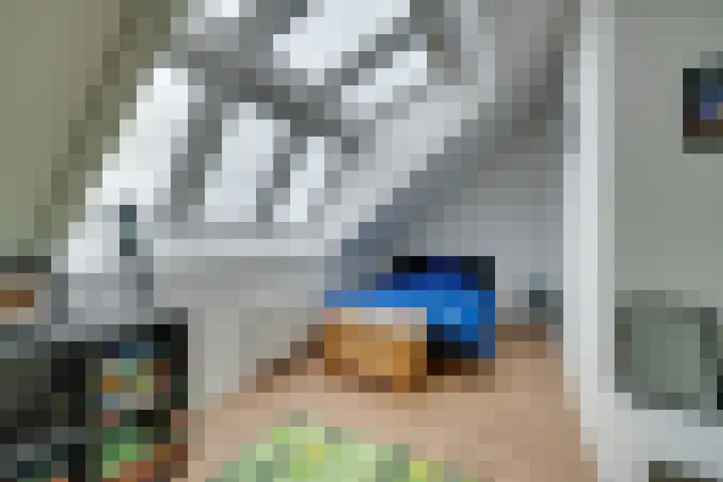 Weidegangweg 5 Middenbeemster thumbnail 62