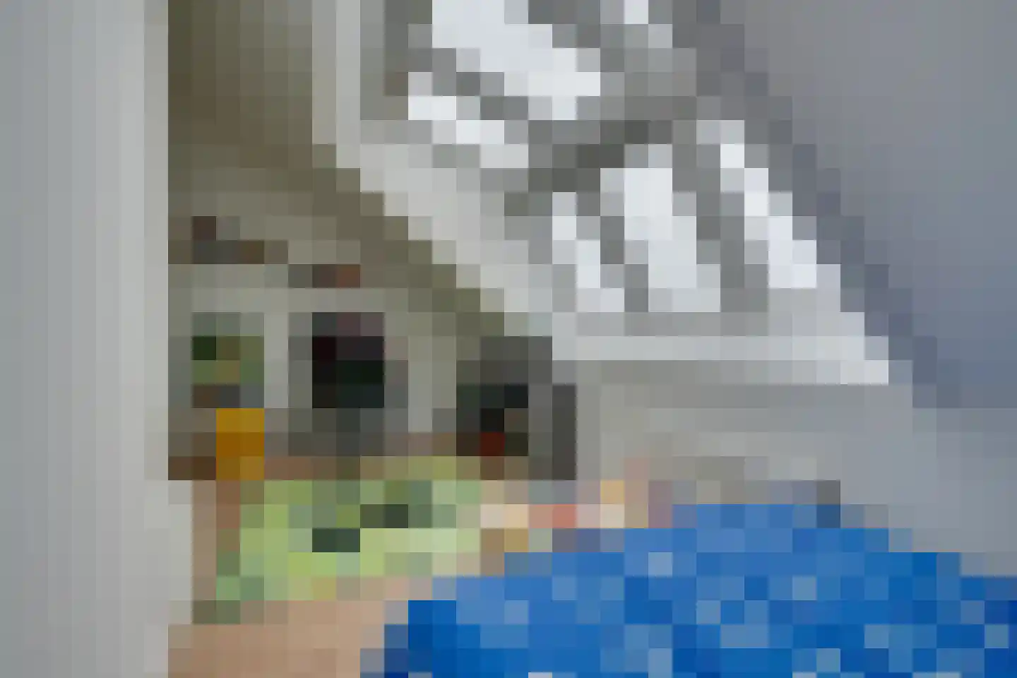 Weidegangweg 5 Middenbeemster thumbnail 63