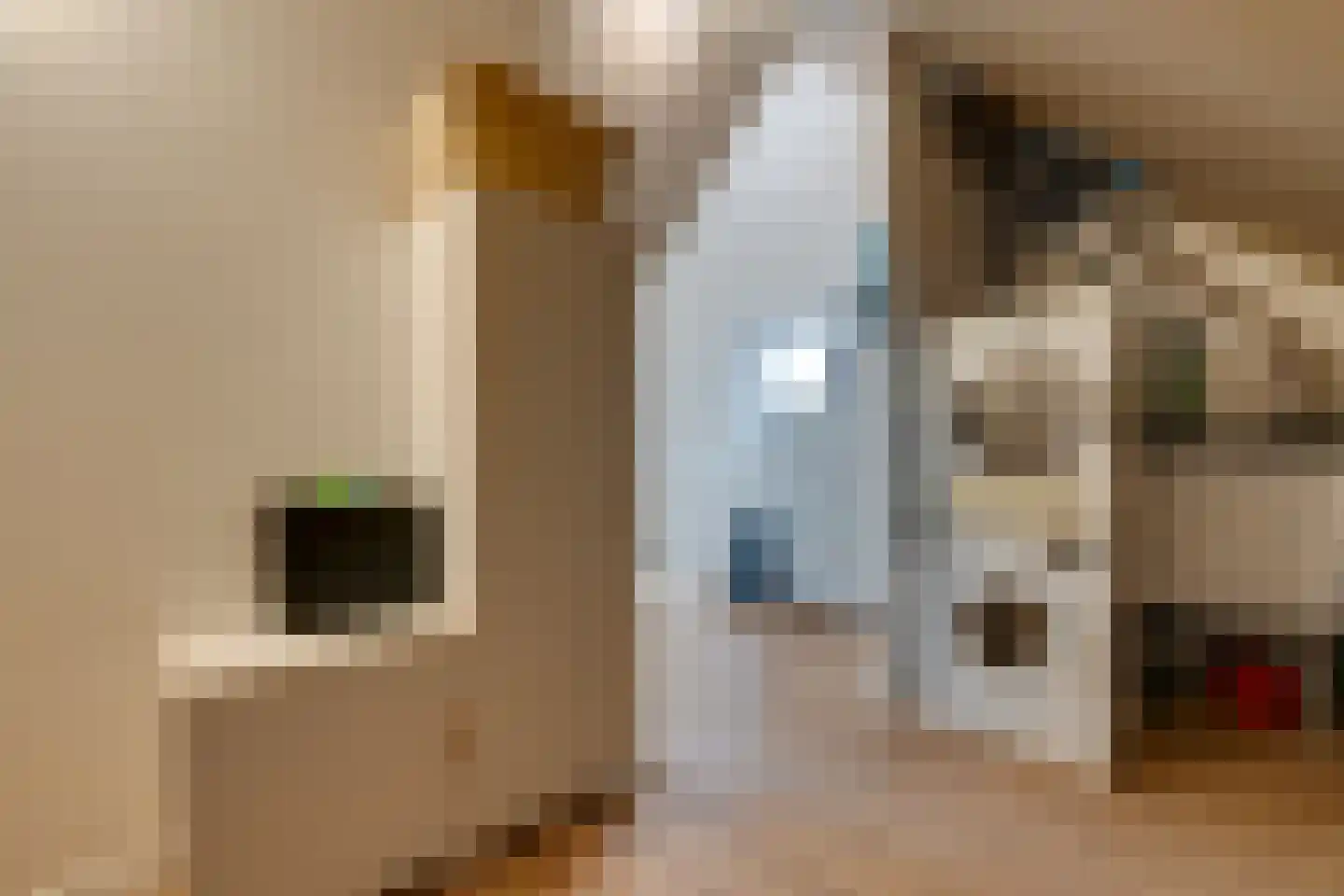 Weidegangweg 5 Middenbeemster thumbnail 65