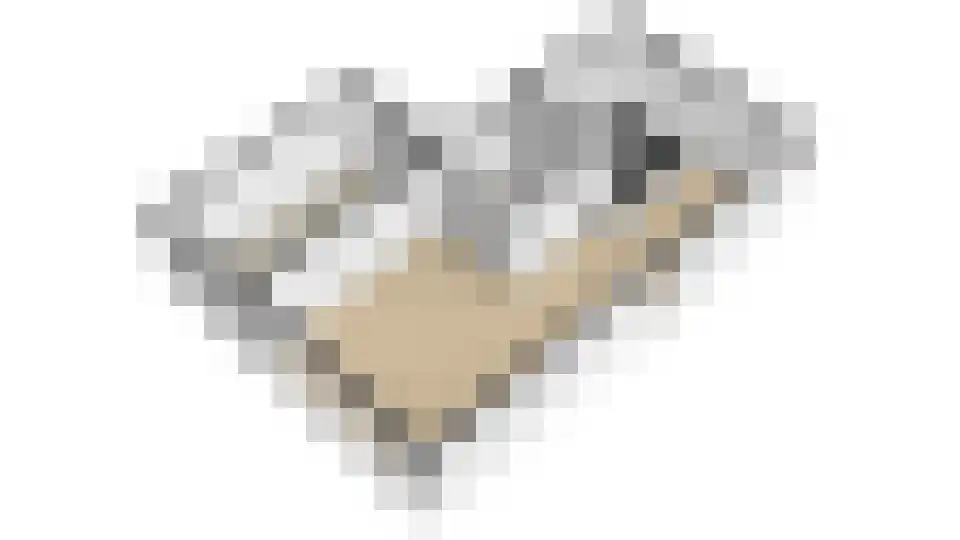 Weidegangweg 5 Middenbeemster thumbnail 78