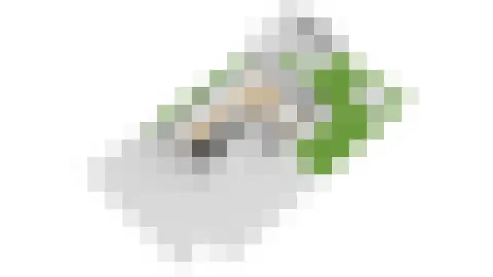 Weidegangweg 5 Middenbeemster thumbnail 88