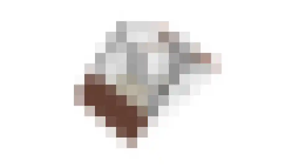 Weidegangweg 5 Middenbeemster thumbnail 91
