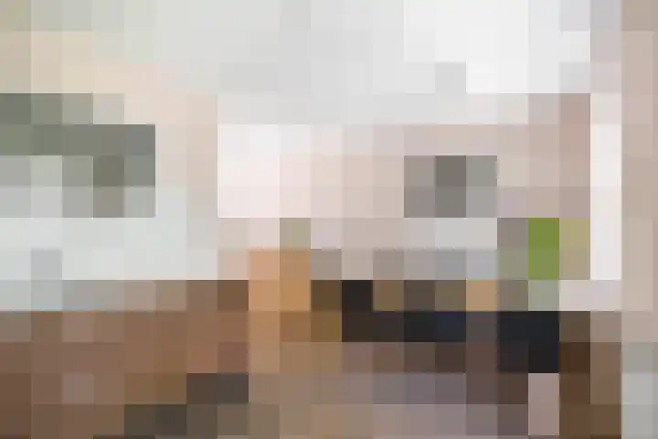 Weidegeelster 10 Twello thumbnail 14