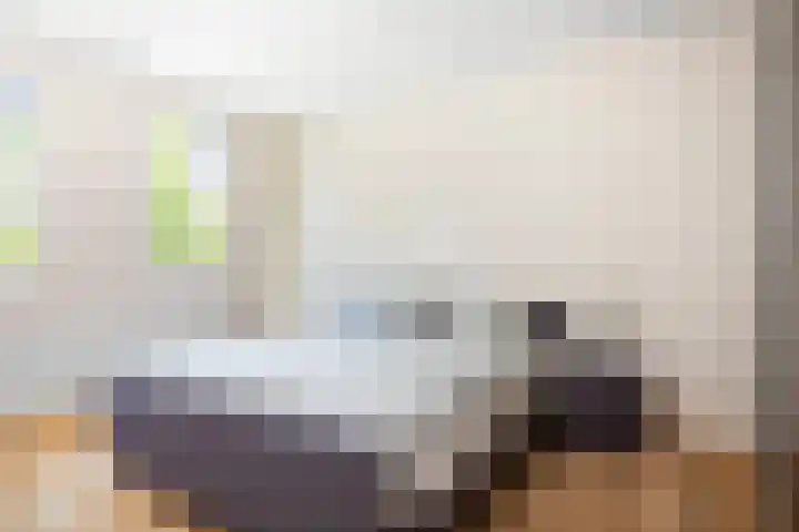 Weidegeelster 10 Twello thumbnail 17