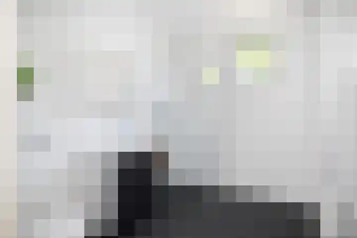Weidegeelster 10 Twello thumbnail 22
