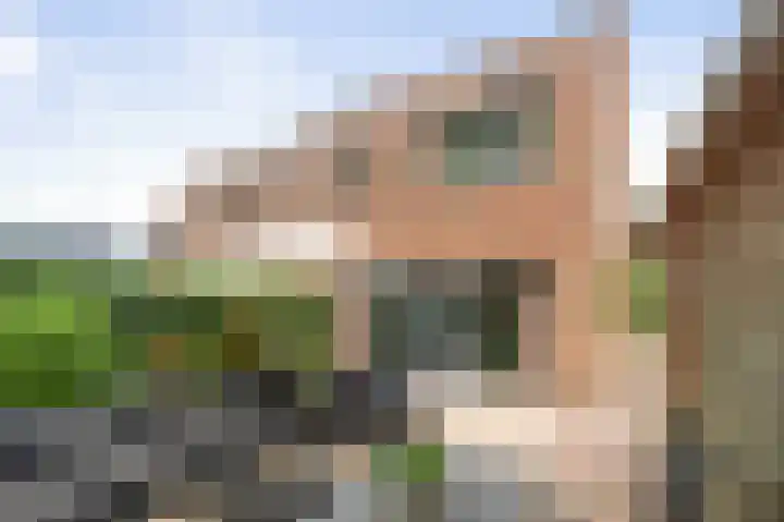 Weidegeelster 10 Twello thumbnail 24