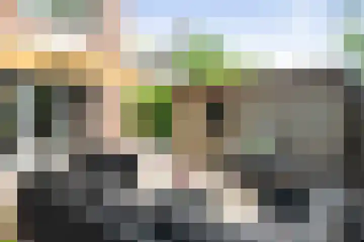 Weidegeelster 10 Twello thumbnail 25