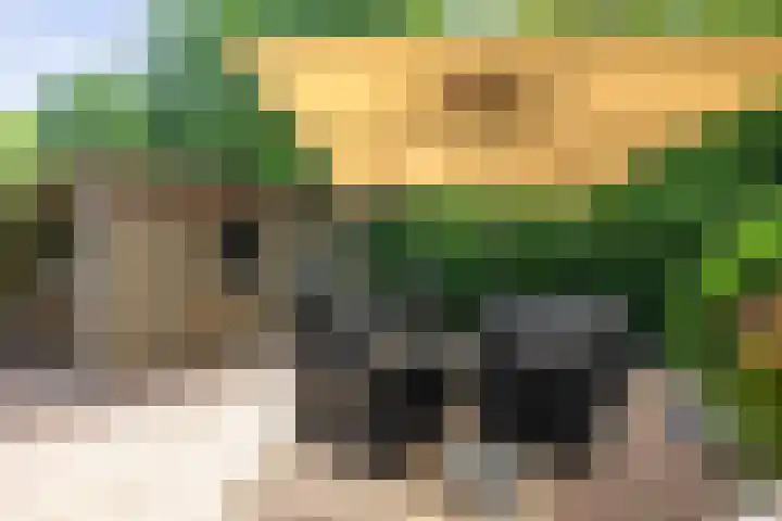 Weidegeelster 10 Twello thumbnail 26