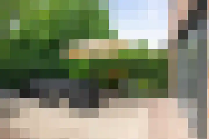 Weidegeelster 10 Twello thumbnail 27