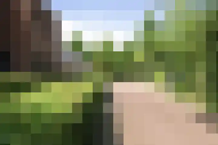 Weidegeelster 10 Twello thumbnail 28