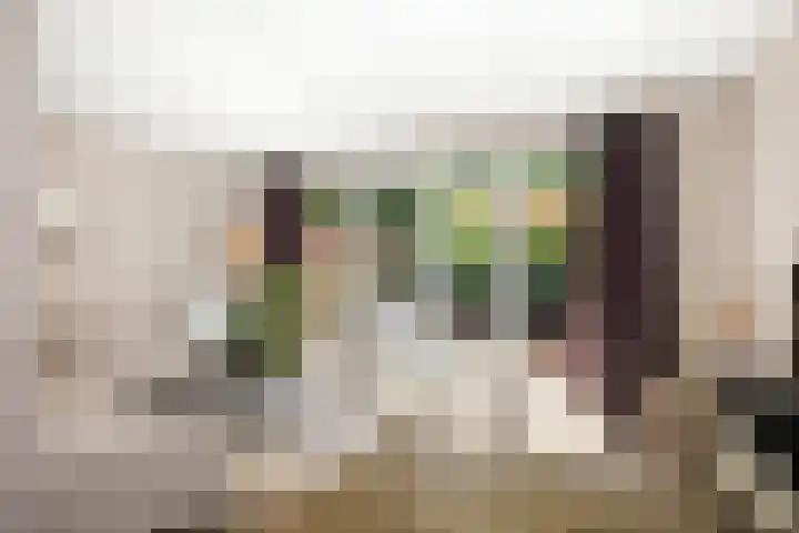 Weidegeelster 10 Twello thumbnail 7